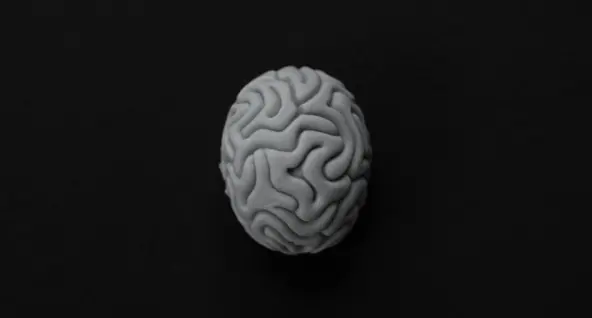 Anatomy of a human brain in a black background